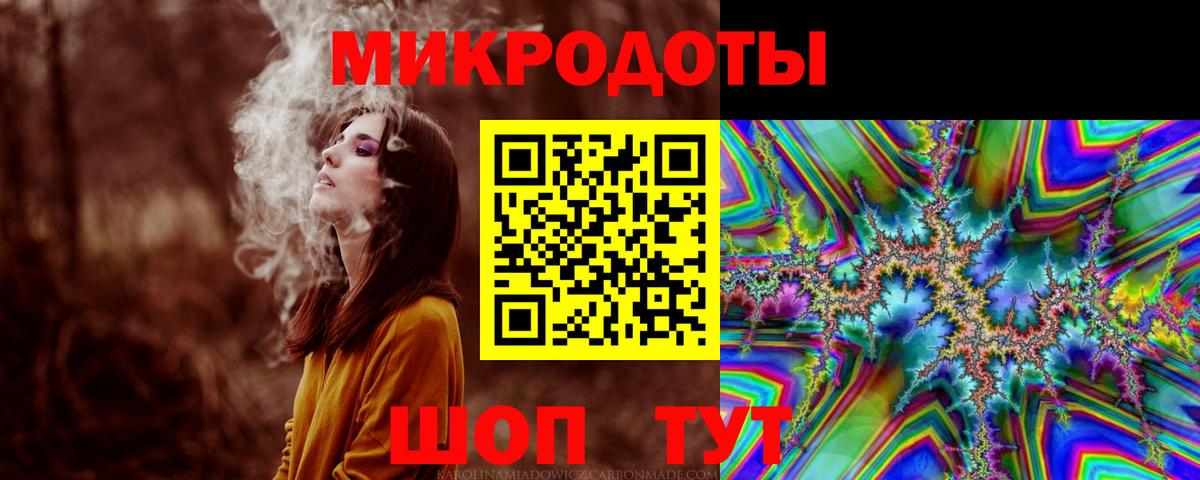 Галлюциногенные грибы Psilocybe Железногорск